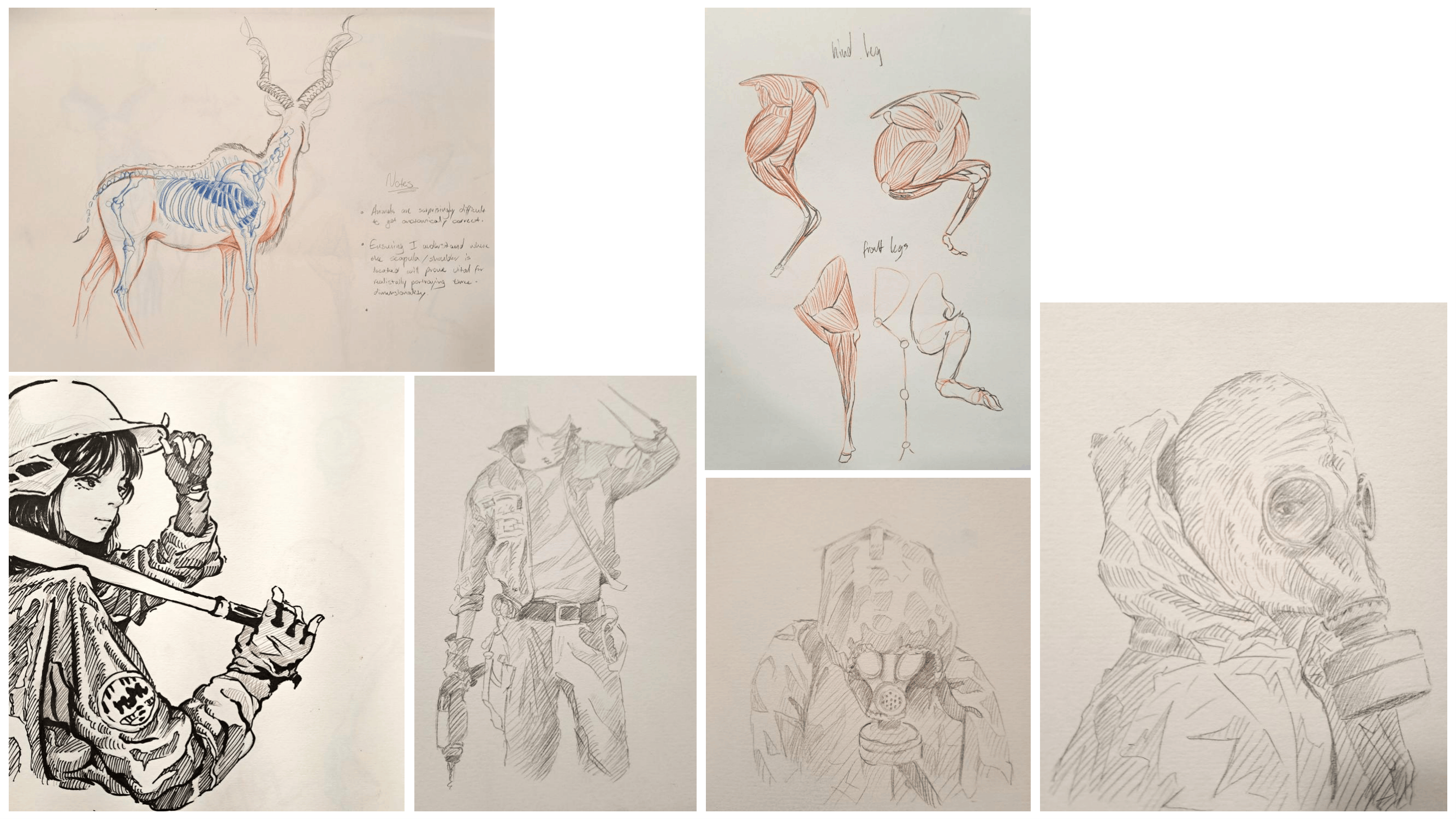Drawing study 5